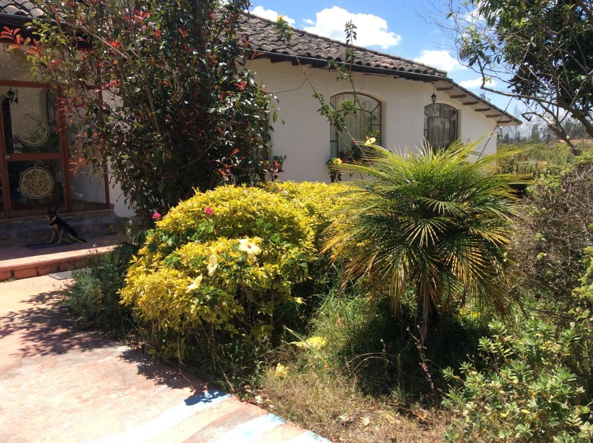 Hosteria Oro Azul Cotacachi Exterior photo